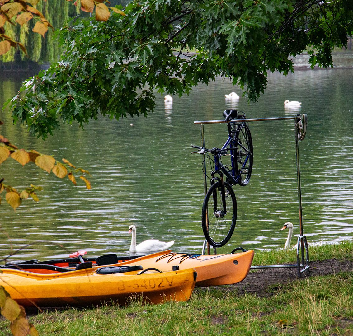 Stillleben am Rande des Landwehrkanals: Zwei Kajaks, Schwäne sowie eine gefundene Kleiderstange an der ein gefundenes Fahrrad hängt.